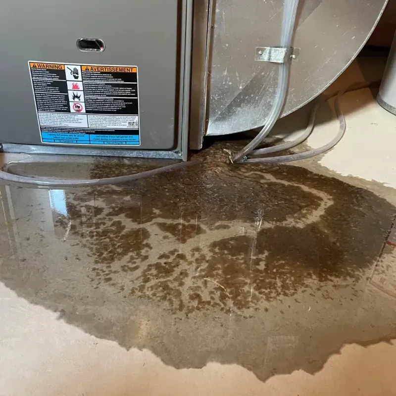 Appliance Leak Cleanup in Valdese, NC